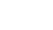 电光朝露网